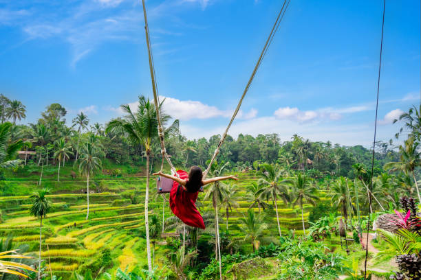 bali tour package